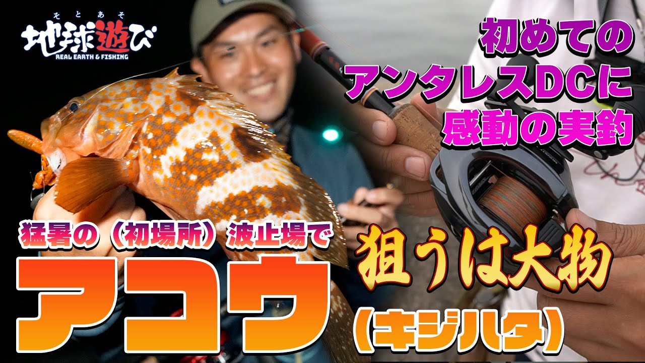 【波止場でキジハタ】アンタレスDCMDで初の実釣。驚きです！【地球遊び 232】