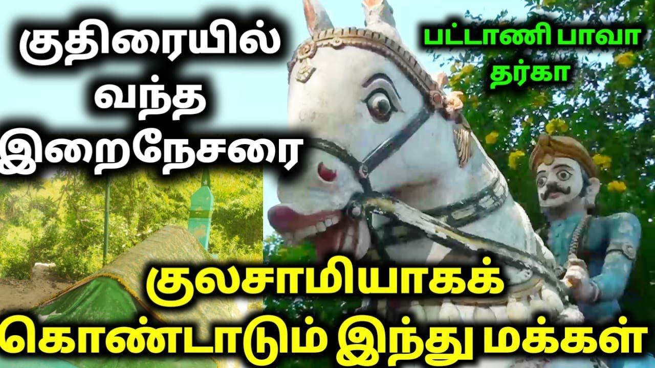 இறைநேசரை குலசாமியாகக் கொண்டாடும் ஹிந்துப் பெருமக்கள்| பட்டாணி பாவா தர்கா| Dindigul Dargah Vlog]