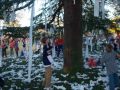 Toomer's Corner Tree Poisoned Call