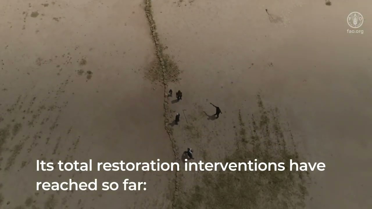 Action Against Desertification: FAO’s contributions to the Great Green Wall in Mauritania and Sudan