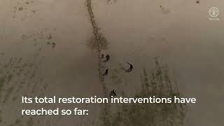 Action Against Desertification: FAO’s contributions to the Great Green Wall in Mauritania and Sudan