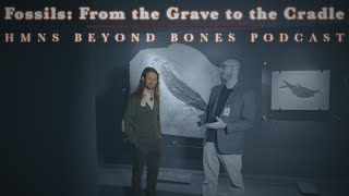 From dirt to display, here's what it takes to prepare gorgeous fossils | HMNS BEYOND BONES PODCAST