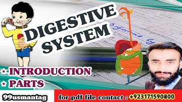 Digestive system and its parts class 7 & 9th  part (01) in Urdu Hindi  by 99usmantag | Usman khan