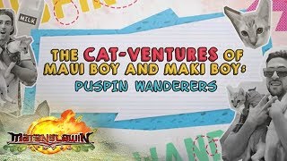 Matanglawin: Cat-Ventures of Maui Boy and Maki Boy Matanglawin: Cat-Ventures of Maui Boy and Maki Boy