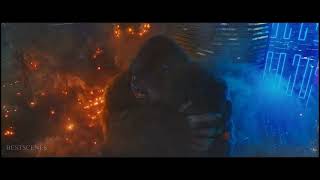 Sailor Moon Is Crying Because Kong Is Dead Sailor Moon Crystal Rise Of The Kong