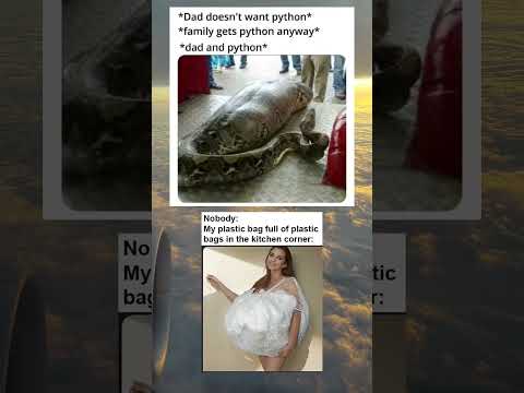 MEMES : PART 104 #memes #shorts #trending #fyp #viral #1m #xavier #funny #legend