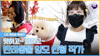 핫하고~ 힙하고~ 반려동물 양모 인형 작가｜TJB 생방송 투데이
