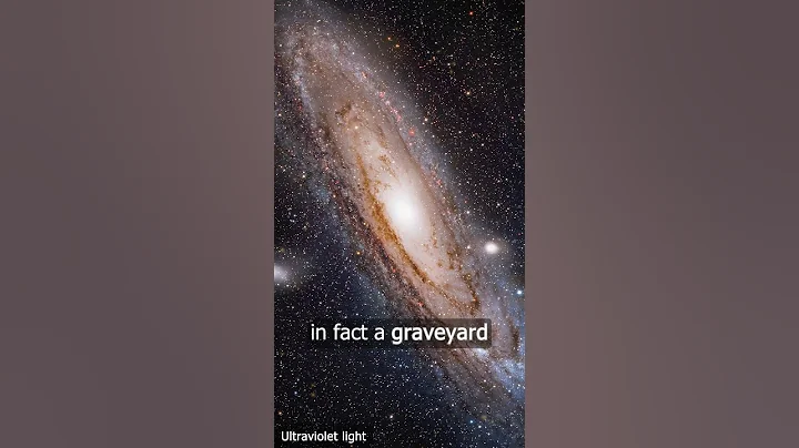 Galaxy $600 Telescope 🔭🌟👽 #Andromeda #Astronomy #space #Physics #Blackhole #science #stars - DayDayNews