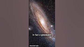 Galaxy $600 Telescope 🔭🌟👽 #Andromeda #Astronomy #space #Physics #Blackhole #science #stars