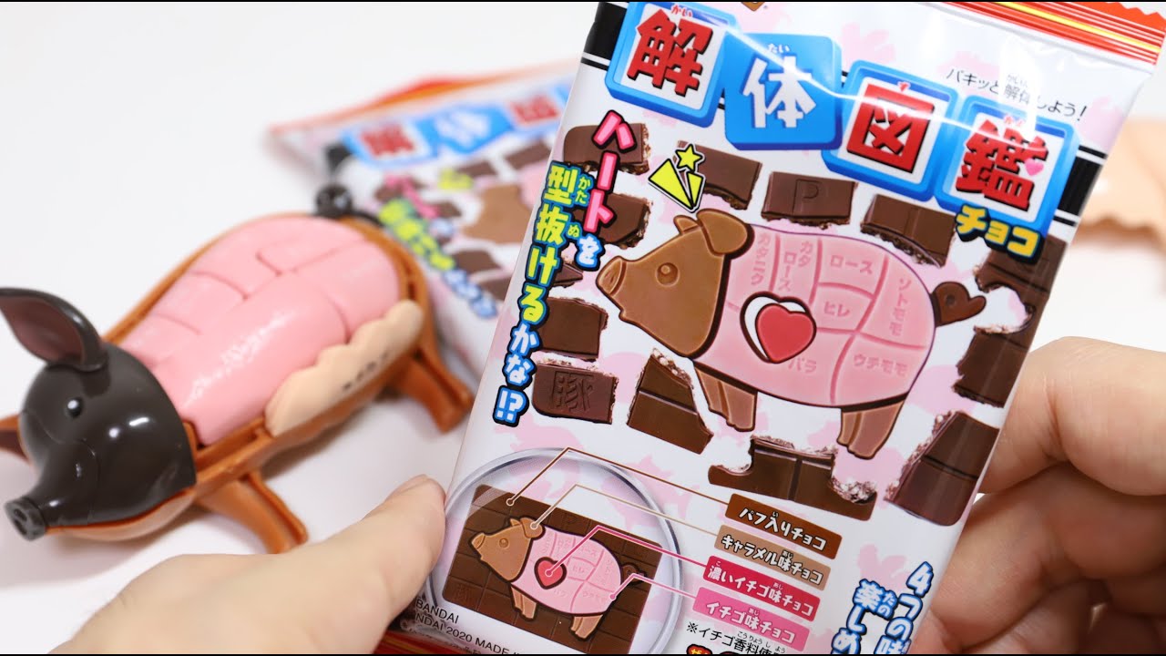 Dismantling Animals Chocolate Japanese Weird Candy