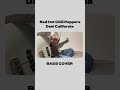 Dani California(Bass Cover)-Red Hot Chili Peppers #shorts