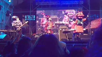 La Banda del Musiquero Loco - La hormiga Carolina (con Celeste Carballo)