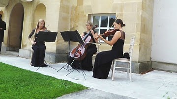 Marry You - Bruno Mars - Vanity Strings Trio