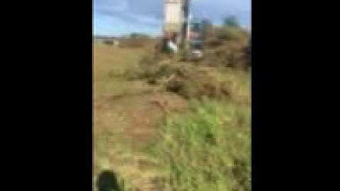 Focus Machinery Bucket Grab