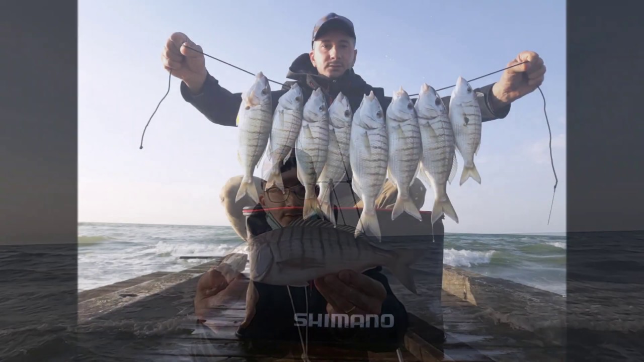 Pesca In Mare Con Lombrico Di Terra