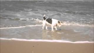 Jake in Callantsoog