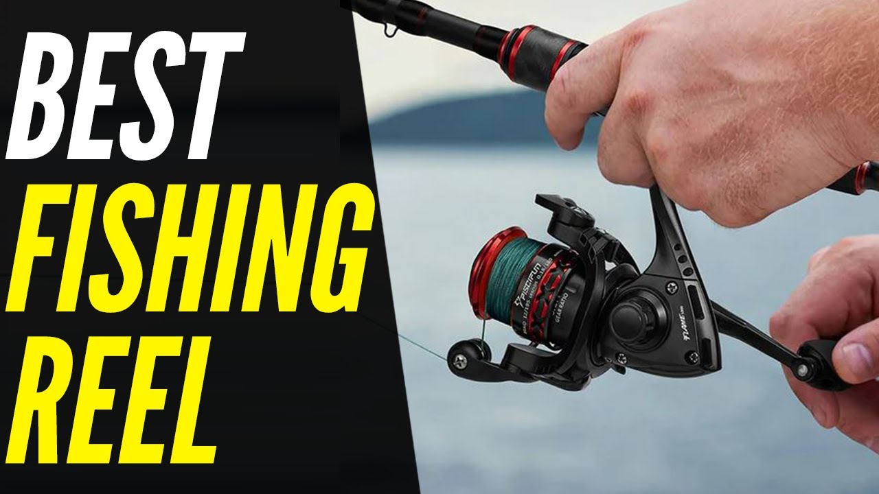 TOP 5: Best Fishing Reel 2022  For Pros and Beginners! 