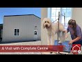 A Visit with Dan at Complete Canine