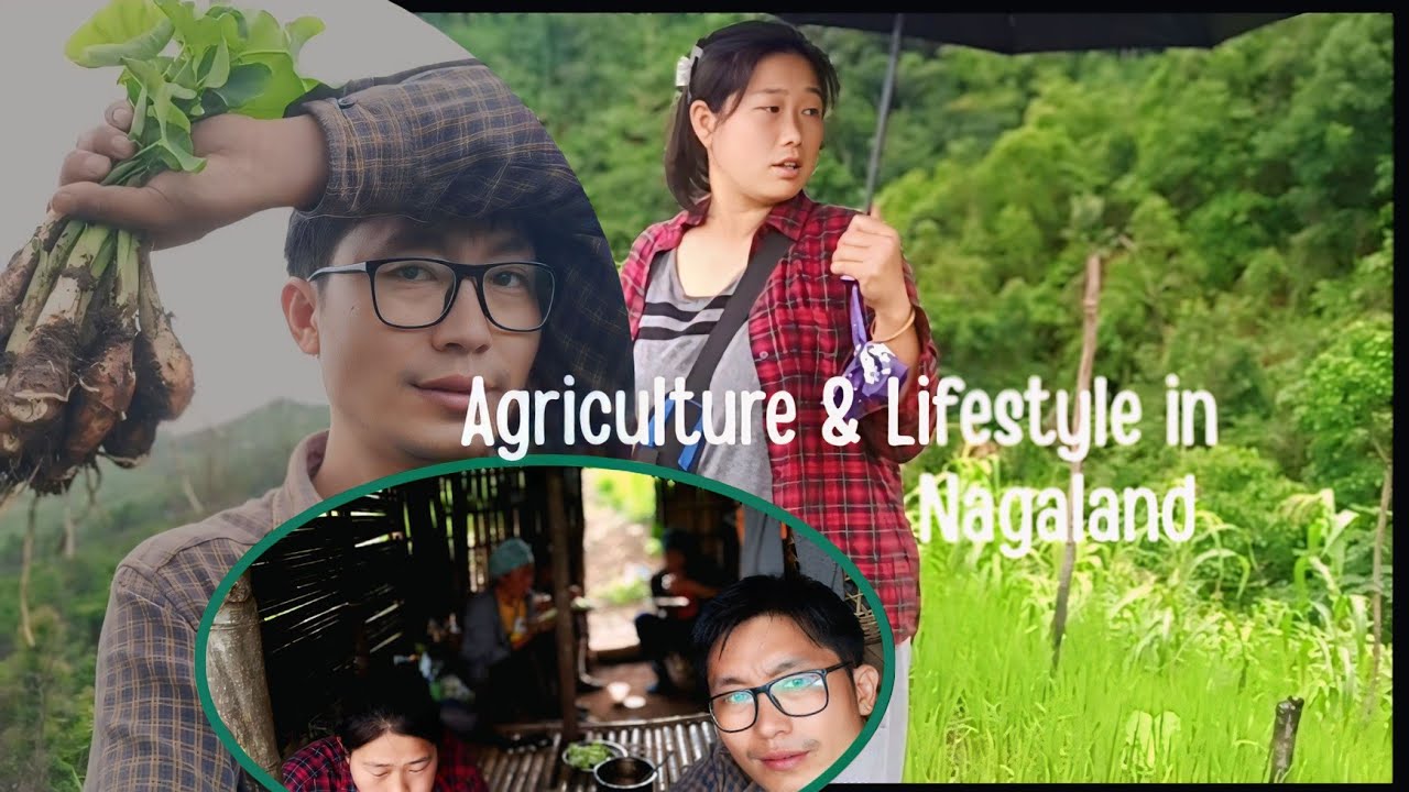 Agriculture and lifestyle in Wokha, Nagaland