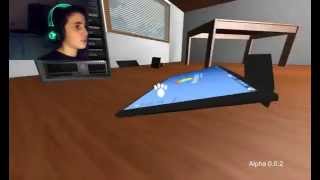 CHUCK NORRIS EN CHAT - Cat Simulator [HD](FR)