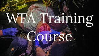 Exercicio Pratico do Curso de Treinamento WFA
