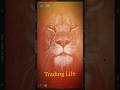 Trading Life #tarding #new #motivation #day1 #edit