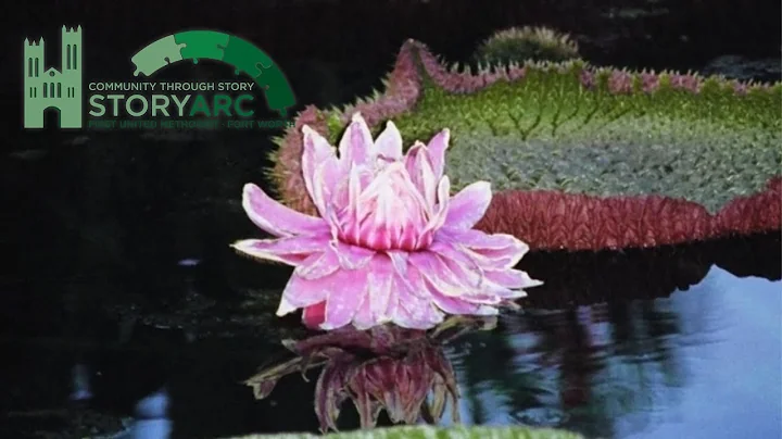 To Flourish by Debbie Manning