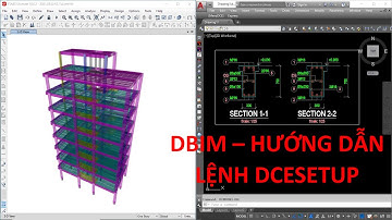 Hướng dẫn các thông số trong DceSetup | DBim