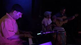 The A.c.t Moonflower