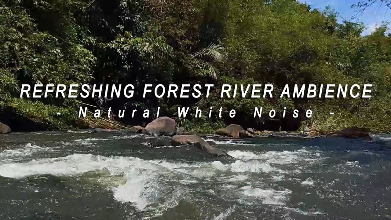 Refreshing Forest River Ambience – Natural White Noise