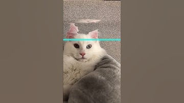 new plzz face filter titurial on YouTube channel filter plz don