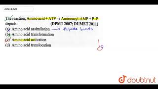 The reaction, Amino acid `+` ATP `rarr` Aminoacyl -MAP`+` P-P depicts `:`