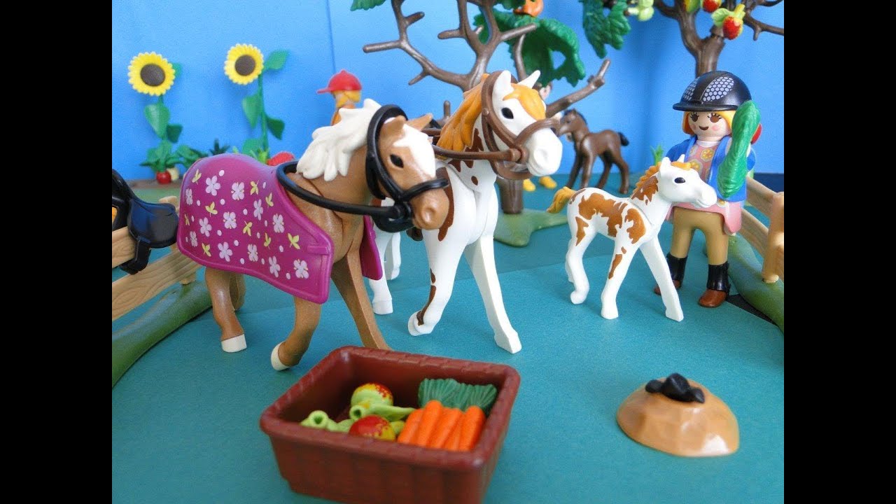 Playmobil Country Cavalière avec soigneur et poney