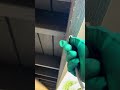 Drill And Treat For Drywood Termites With Premise Foam BugProINC Com Termitecontrol Pestcontrol Drill And Treat For Drywood Termites With Premise Foam BugProINC Com Termitecontrol Pestcontrol