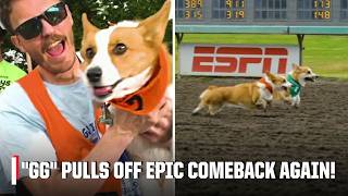2026 Corgi Races: GG wins BACK-TO-BACK titles at Emerald Downs 🏆 | ESPN8: The Ocho