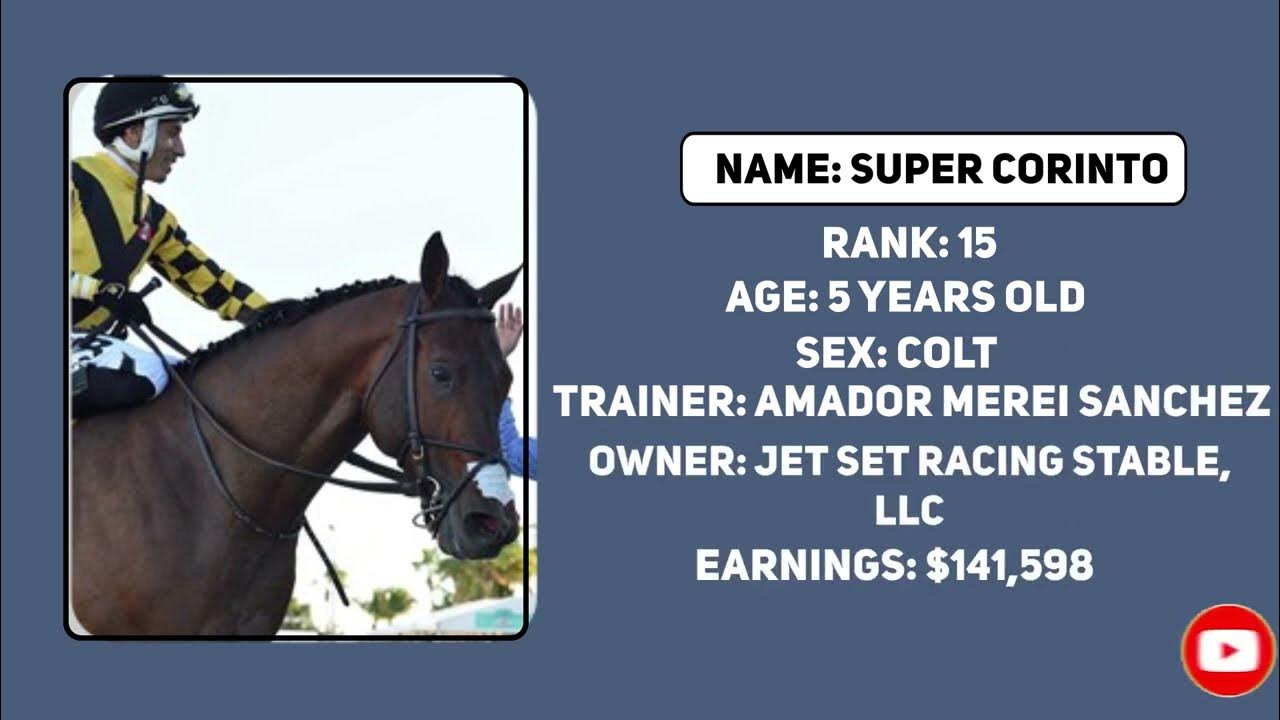 2025 Pegasus World Cup G1 World Class Horse Race YouTube