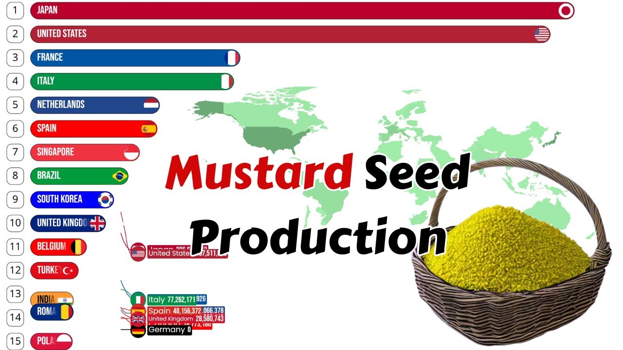 Top 20 Countries That Produce Mustard Seed In The World | WORLD GEOGRAPHY