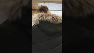 CS 115 - Module 4 - Part 5/5