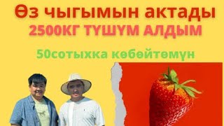 2500 кг түшүм алдым чыгымды актады, 50 сотыхка көбөйтөм.