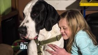 Service Dog Changed Bella’s Life