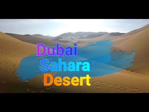 Dubai Sahara Desert Safari Nature and Wildlife in Dubai 2021