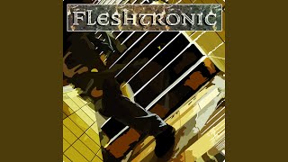 Video thumbnail of "Fleshtronic - Hummingbirds"