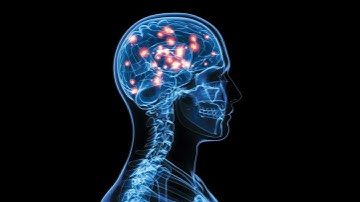 The Voice Within - Controlling Negative Thoughts and Building a Better Future