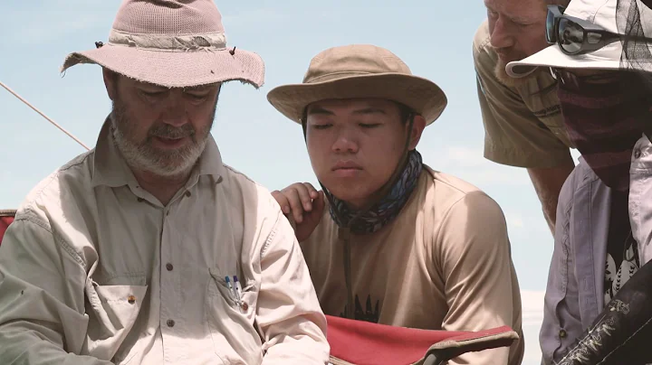 Shorebird Conservation is about People