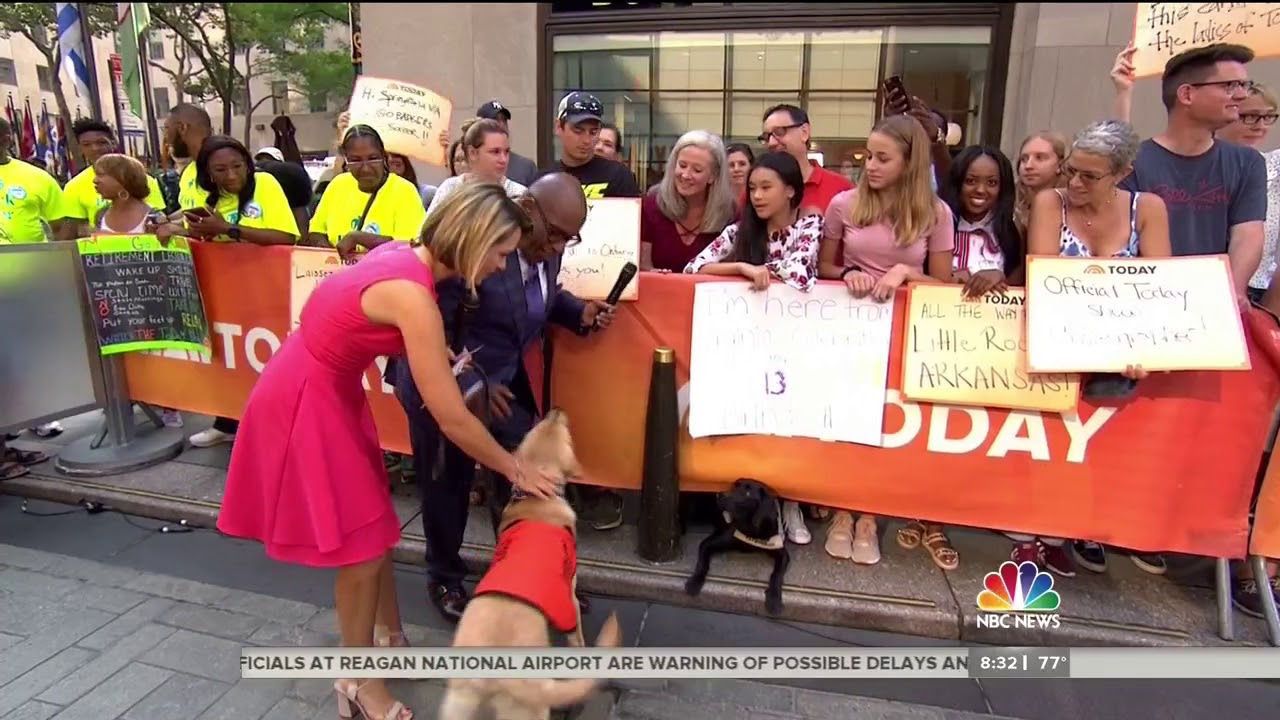 harnessing mineral resources Sunny's Sister Camden Surprises Him on the TODAY Plaza
