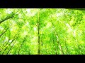 【オリジナル】もう一度笑って/鏡音 リン