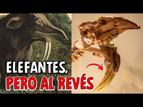 cuando los ELEFANTES se DIERON VUELTA