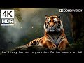 Ravishing World in 4K 240FPS HDR Dolby Vision | 4K Video ULTRA HD