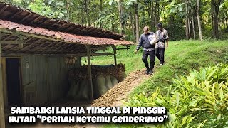 Download Lagu Living in Seclusion on the Edge of the Forest, It's Quiet Even During the Day, Let Alone at Night... MP3