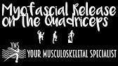 Strengthen Abdominals Stabilize Core - Your Musculoskeletal Specialist - YouTube